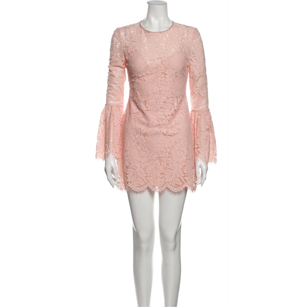 RACHEL ZOE Lace Pattern Mini Dress - Picture 3 of 15